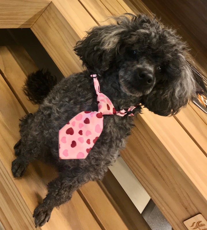 Tuisku t&auml;ytt&auml;&auml; 10 vuotta!